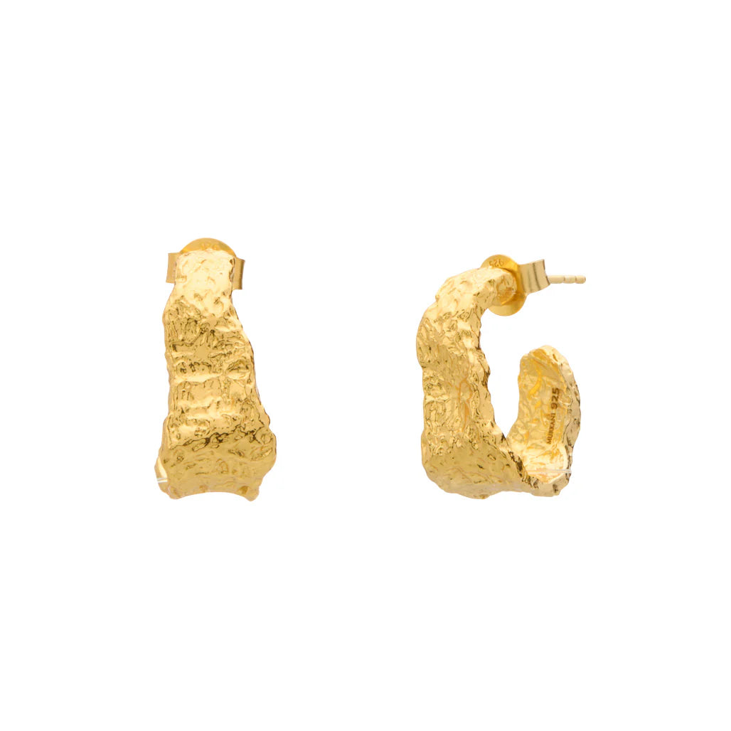 Eterna Hoop Earrings | Yellow Gold Plate