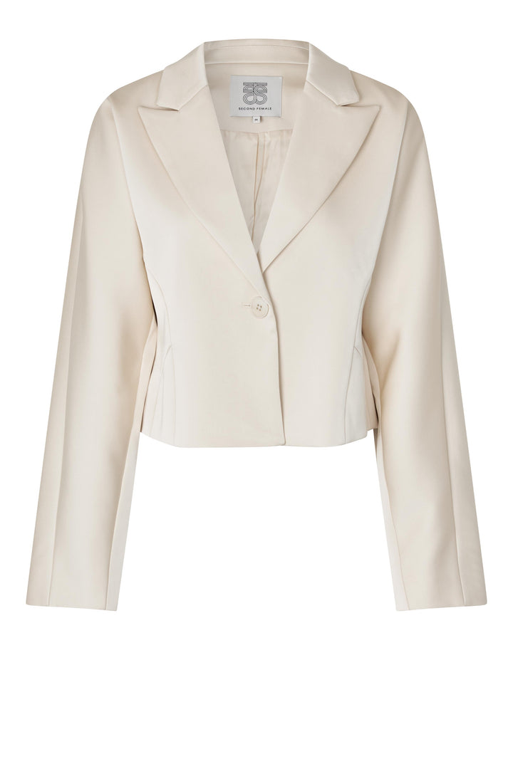 Dazzle Blazer