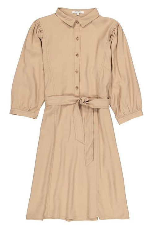 Utility Dress