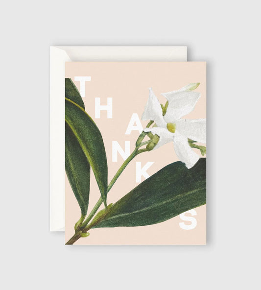 Lettuce Card | Jasmine Thanks Card